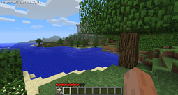 JAVA] Minecraft Beta 1.3_01