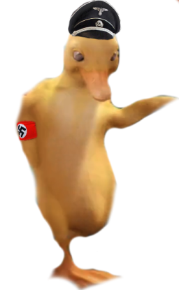 1785550917303.png